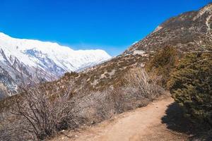 descansando en el regazo de himalaya foto