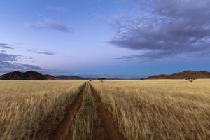 Sand tracks in dry grass under blue sky after sunset photo