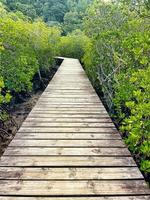 Wooden bridge on the mangrove at port launay, Mahe Seychelles photo