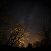 el ver de el cielo a noche es lleno con estrellas .generativo ai foto