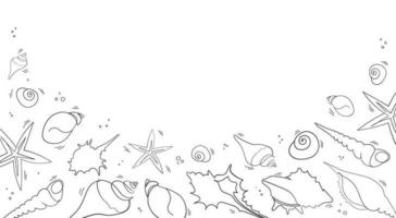 Seashells banner in doodle stile. One line drawing of a shell. Hand drawn marine illustrations of seashells. Summer tropical ocean beach style. vector