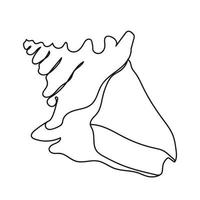 One line drawing of a shell. Hand drawn outline marine illustration of seashell. vector