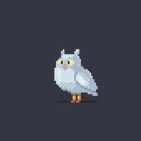 white owl in pixel art style vector