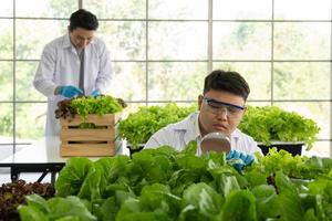 Scientist Team Doing Experiment in Agriculture Lab to Develope Genetic Modification Crops photo