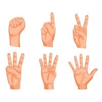 Counting Hands from one to five, isolated on white background vector