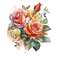 bouquet of watercolor roses, png