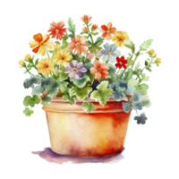 Mini flower in flowerpot watercolor, png