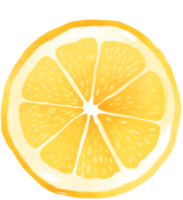 Fresh Lemon hand draw Clipart food illustration png