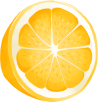 Frais citron main dessiner clipart nourriture illustration png