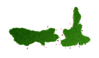 Nouveau zélande carte avec vert herbe 3d illustration png