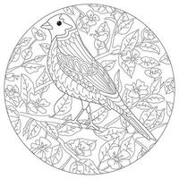 Hand drawn round shape coloring page for kids and adults. Beautiful drawings with patterns and small details. Coloring book with bird in blooming tree branch. Vector