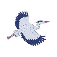 Heron in flight isolate on white background. Vector graphics.