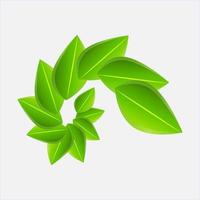 vector colección de verde hojas arreglado en espirales con realista claro oscuridad y blanco antecedentes. vector hojas.. verde hojas de arboles y plantas. elemento para logo eco y biografía