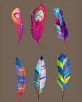 Colorful feather icon set. Realistic collection of feathers vector icon for web design isolated on white background.