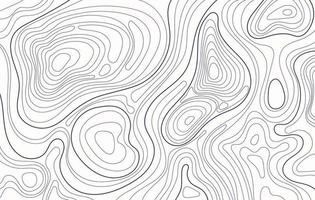 Topographic map. Topography contour, geography contouring lines. Topographical relief, landscape elevation terrain contours vector background