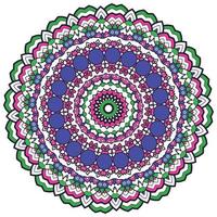 mandala antecedentes con genial colores. raro flor forma. oriental. anti estrés terapia patrones. tejido diseño elementos vector