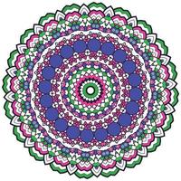 mandala antecedentes con genial colores. raro flor forma. oriental. anti estrés terapia patrones. tejido diseño elementos vector