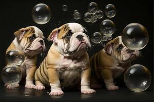 group of puppies sitting on top of a table. . photo