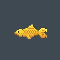 golden fish in pixel art style vector