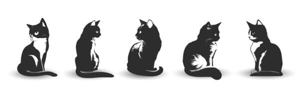 Vector set of cat silhouettes. Black cat vector isolated on white background