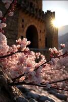 close up of a bunch of flowers on a tree. . photo