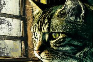 close up of a cat near a window. . photo