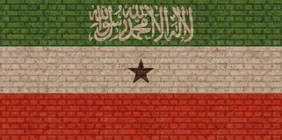 3D Flag of Somaliland on brick wall photo