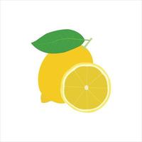 A beautiful lemon vector art work