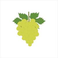 un bonito manojo de uvas vector Arte trabajar.