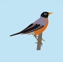 Nice bird vector art work.