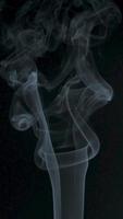 Slow motion vertical video of white smoke, fog, mist, vapor on a black background.