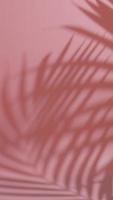 vertikal video abstrakt silhuett skugga på rosa bakgrund. suddigt skugga av tropisk löv morgon- Sol ljus.
