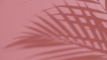 Abstract silhouette shadow on pink background. Blurry shadow of tropical leaves morning sun light. video