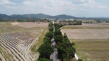 aereo mossa al di sopra di il asfalto strada di risaia campo appena raccolto video