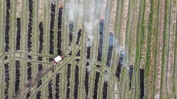 Aerial look down tractor plowing at open burning paddy field farm video