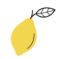 Whole fresh lemon with twig and leaf. Hand drawn sketch icon of citrus fruit. Isolated vector illustration in doodle line style.