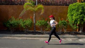 vrouw loopt naar beneden de straat tussen de palm bomen. gezond actief levensstijl video