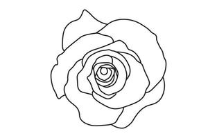 Rosa vector gráfico diseño, para huellas dactilares, vector ilustración