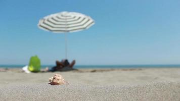 uomo rilassante sotto parasole su spiaggia, uomo rilassante di andando per mare nel estate giorno e prendere il sole su spiaggia, selettivo messa a fuoco video
