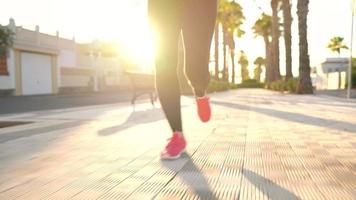 cerca arriba de mujer atadura zapato cordones y corriendo a lo largo el palma avenida a puesta de sol video