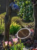 tiempo de primavera en el jardín foto