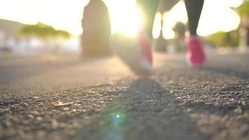 cerca arriba de mujer atadura zapato cordones y corriendo a lo largo el palma avenida a puesta de sol video