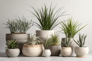 Collection of plants in ceramic pots on white background, 3D render. photo