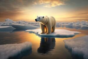 Polar bear on an ice floe in the Arctic Sea against the background of the morning sun. . photo