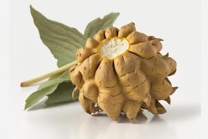 Fresh Jerusalem artichoke on a white background with a leaf. . photo