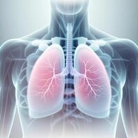 Artificial organ transplantation, lungs. Modern medical technologies. . photo