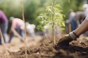 persona plantando arboles o trabajando en comunidad jardín, de cerca en planta. generativo ai foto