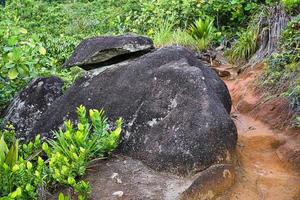 Trois frere nature trail, dark granite rocks on the nature trail, with coco plum, Mahe Seychelles photo