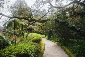 Parque Terra Nostra in Sao Miguel, the Azores photo