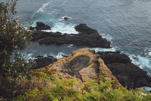 View of Ponta da Costa in Sao Miguel, the Azores photo